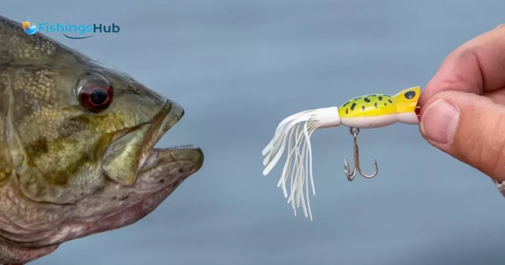 Techniques for Casting Poppers in Bass Fishing