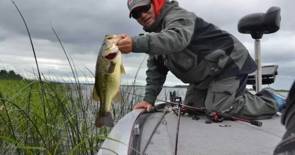 Recommended Test Line Sizes for Bass Fishing