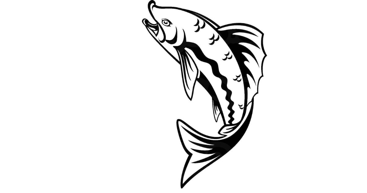 How To Smallmouth Bass Drawing?