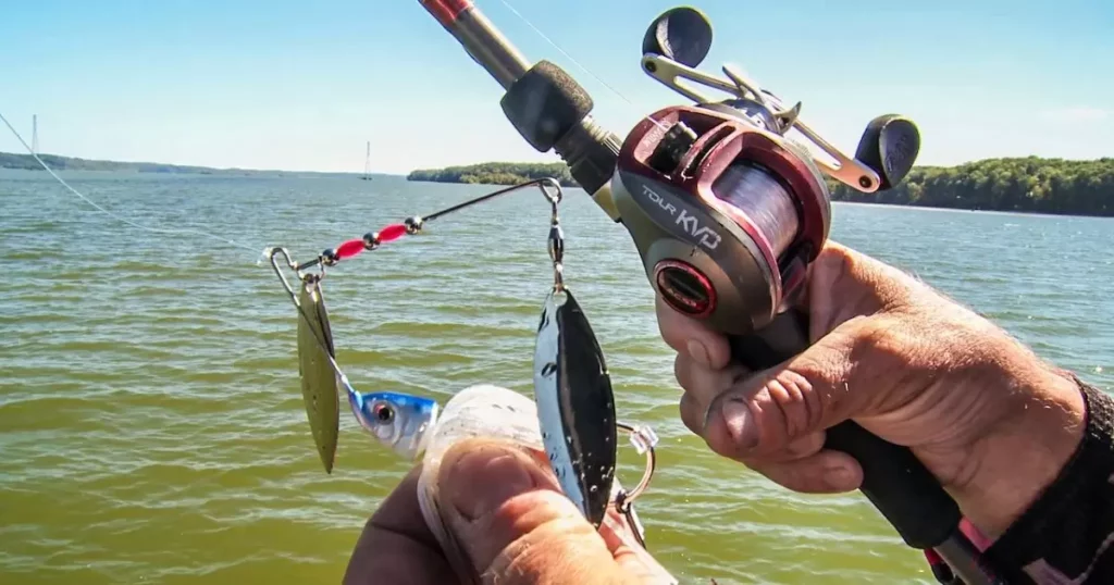 Key Components for Successful Bass Fishing