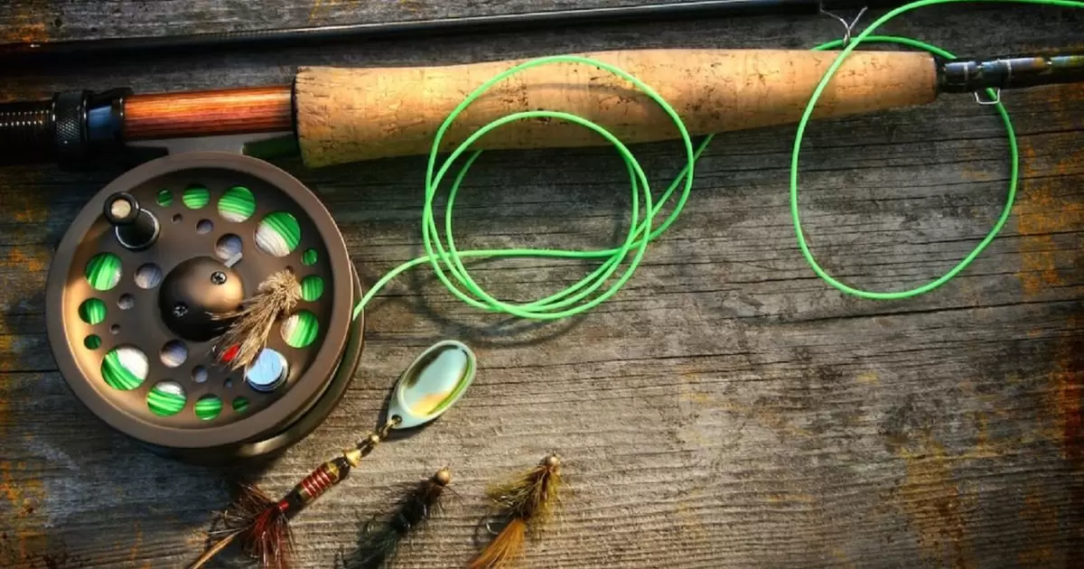 What Fishing Line to Use for Bass?