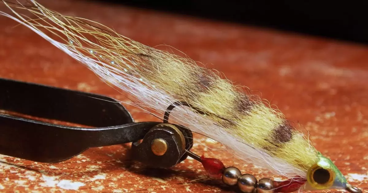 What Is A Fly Fishing Streamer?