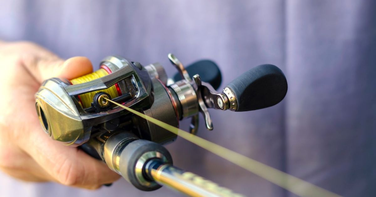 What Size Test Line For Bass Fishing?