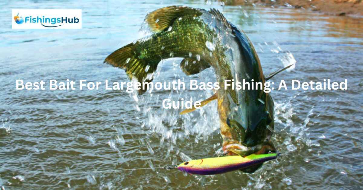 Best Bait For Largemouth Bass Fishing: A Detailed Guide