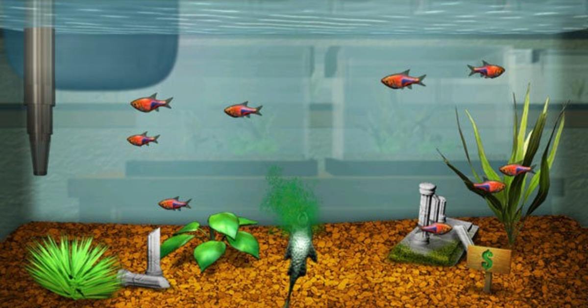 Choosing the Right Location for Fish Tanks