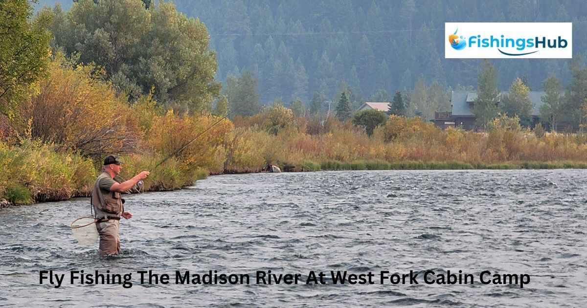 Fly Fishing The Madison River At West Fork Cabin Camp