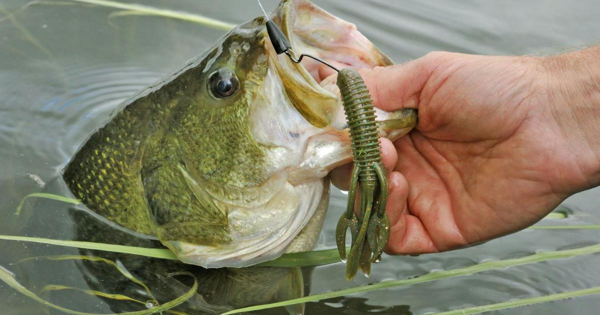 How to Fish a Jig for Bass?