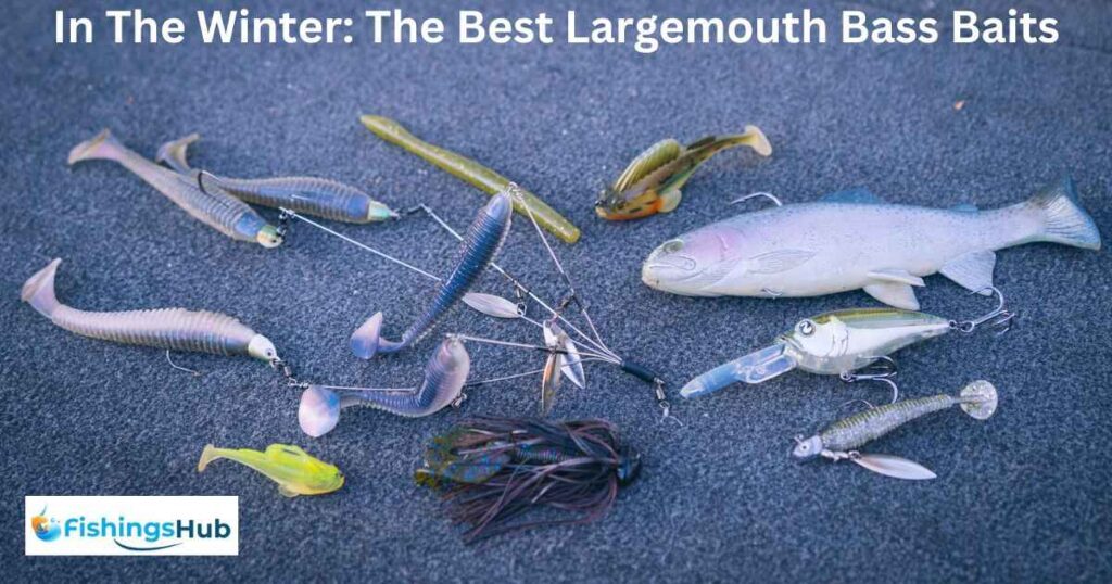 In The Winter: The Best Largemouth Bass Baits