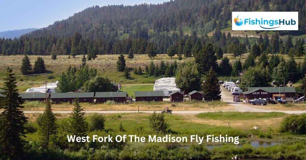 West Fork Of The Madison Fly Fishing