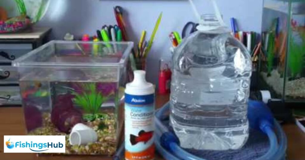 What Is Required To Change The 1 Gallon Water For Betta Tank?
